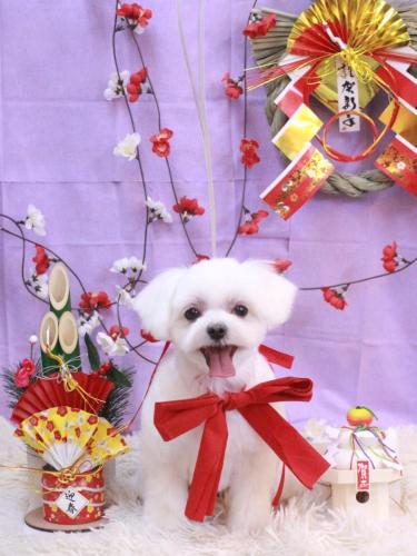 20230128マルちゃん